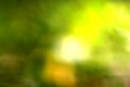 Green natural background of out of focus or bokeh and defocusedの写真素材