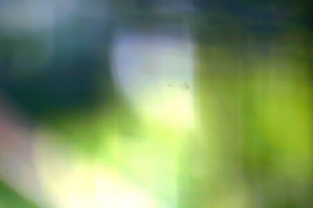 Green natural background of out of focus or bokeh and defocusedの写真素材