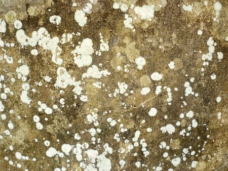 Zinc galvanized grunge metal texture can used as background