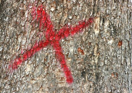 trees painted with red Xの写真素材