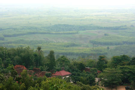 nature Jati Pohon located in Grobogan district, Central Java