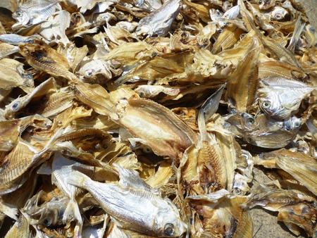 dry salted fishの写真素材