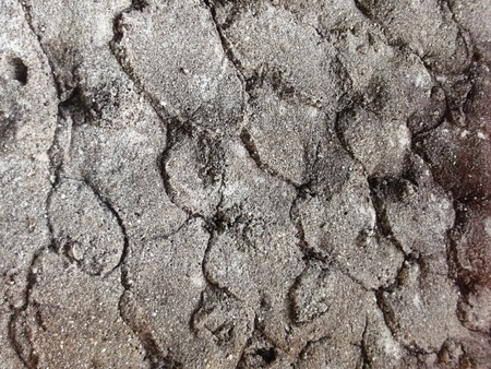 irregular texture of stucco wall