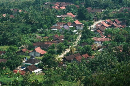 beauty view from the hill