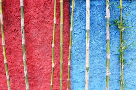 blue and red colour wall with bamboo trees