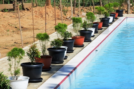 Rows of potsの写真素材