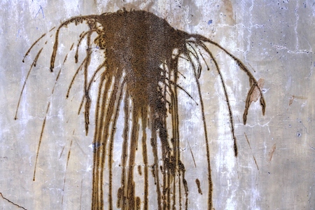 splashes of coffee on the wallの写真素材