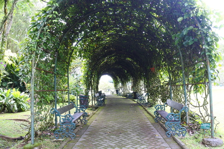 Garden view Nusantara West Java Indonesiaの写真素材