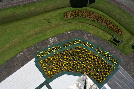top view blooming gardenの写真素材