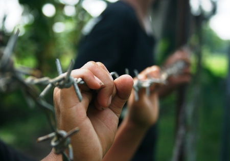 hands on barbed wire closeupの写真素材