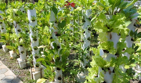 planting media pipe