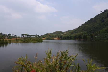 beautiful swamp in Bogorの写真素材