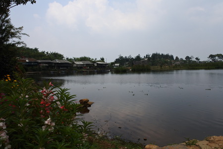 beautiful swamp in Bogorの写真素材