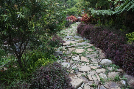 flower garden pathの写真素材