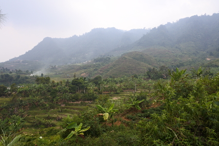 views of fields, rice fields, roads and hills in the highlands of Bogorの写真素材