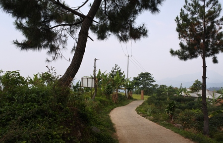 views of fields, rice fields, roads and hills in the highlands of Bogorの写真素材