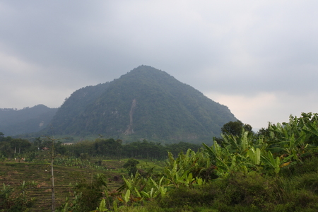 views of fields, rice fields, roads and hills in the highlands of Bogorの写真素材