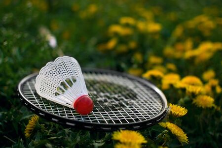 The racket and the  flouncefor for badminton  on a grass among dandelions.の写真素材