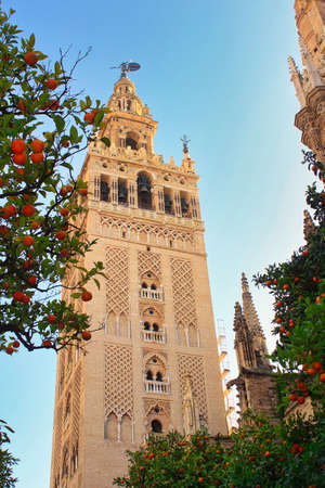 Tall historical tower viewed between orange trees in Sevilleのeditorial素材