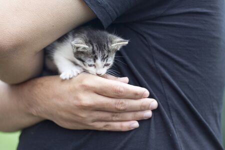 a horizontal view of a tiny cat trying to scape from a man handの写真素材