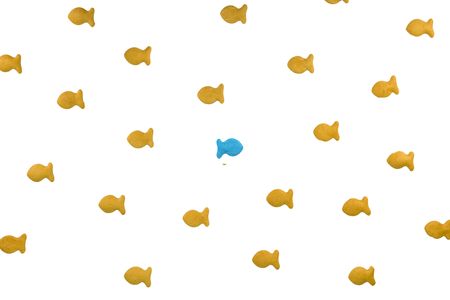 Rebel fish swims against a crowd of goldfish crackersの写真素材