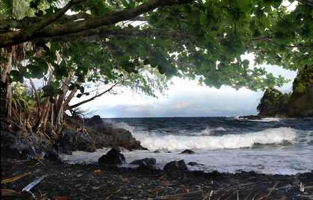 Shady Hawaiian Beachの写真素材