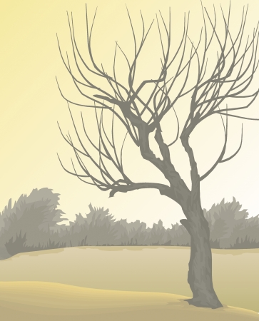 view of trees on a patch of dry brown hillsのイラスト素材