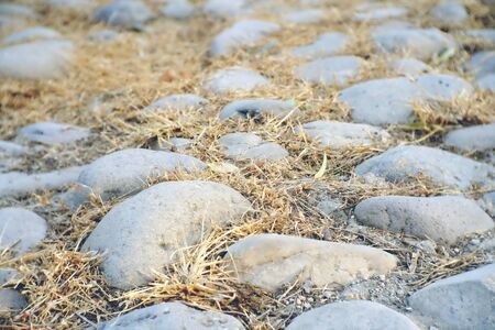Stones on the groundの写真素材
