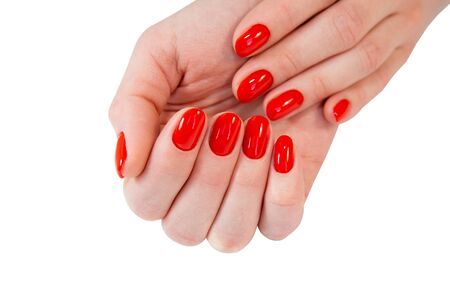Woman's hands with nail red manicure isolated on white background, close up view. Classic red manicure, concept of beauty salon.の写真素材