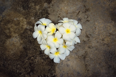 Group of white plumeria flowers in shape of heart, on grunge floor の写真素材
