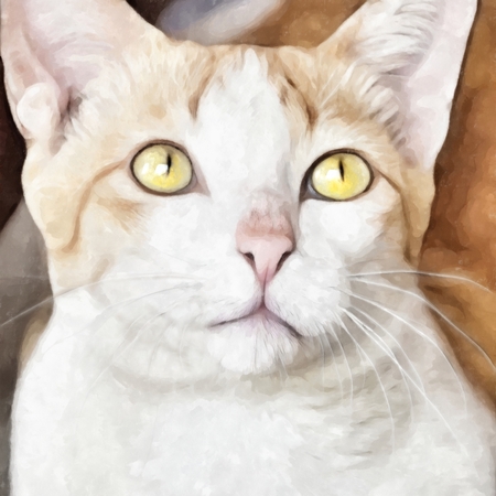 Artistic digital impressionist painting of a catの写真素材