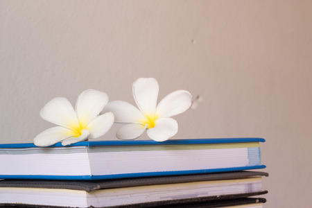 Stack of books and frangipani flower  on wooden table.の写真素材
