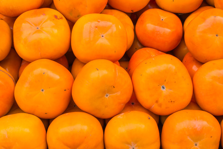 Persimmons fruitの写真素材