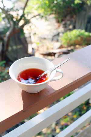tea time in the gardenの写真素材