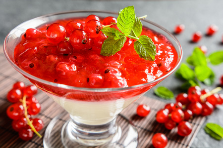 Dessert panna cotta with fresh red currants in a glass jarの写真素材