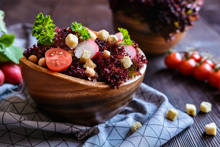 Fresh Lollo Rosso salad with chickpeas, tomato, radish and croutonsの写真素材