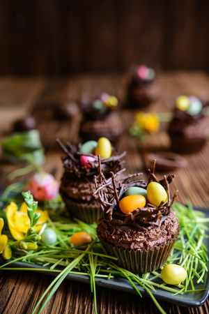 Easter nest cupcakes with chocolate whipped cream, decorated with colorful eggsの写真素材