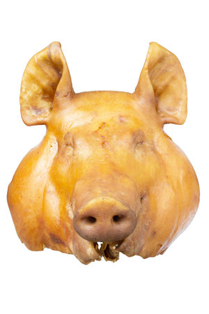 Pig head Respect the sacred ritualの写真素材