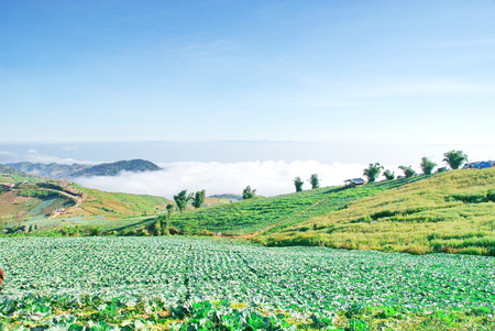 Wake up in the morning with beautiful views.の写真素材