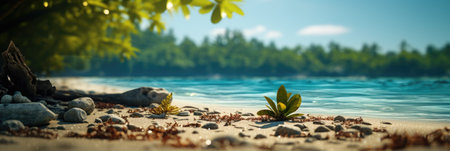 Summer, Beach Background Cardpostal Designs. Background with Beach,  Sand,  Summer vibes and natural tones.の素材