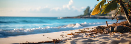 Summer, Beach Background Cardpostal Designs. Background with Beach,  Sand,  Summer vibes and natural tones.の素材