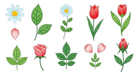 Set of hand drawn flowers and leaves on white background. Vector illustration.の素材