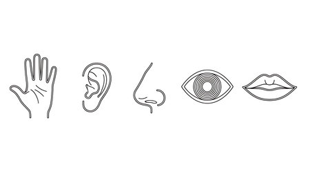 Hearing aid icons set. Outline illustration of hearing aid vector icons for web designの素材