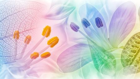 abstract floral background with yellow stamens and purple petalsの素材
