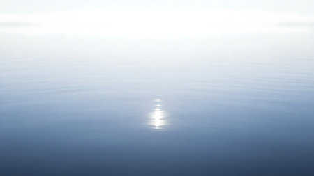 reflection of the sun on the water surface in the sea.の素材