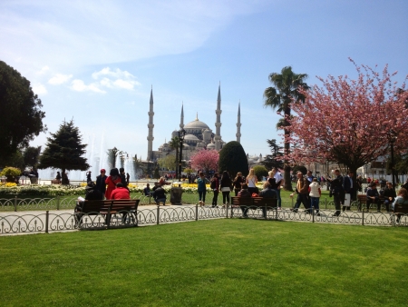 Morgue in Istanbul Turkey の素材