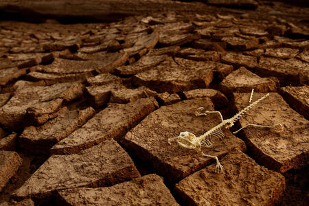 Global warmingの写真素材