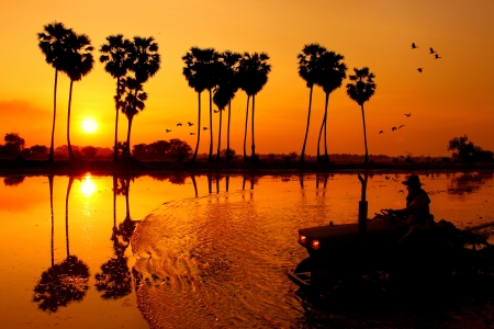 The beautiful sunsetの写真素材