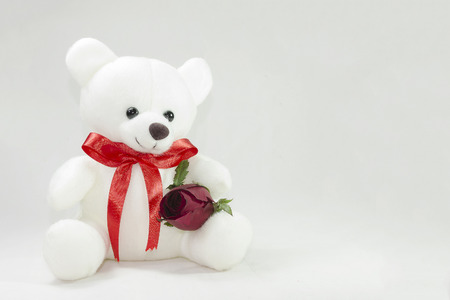 White bear doll with Red Rose on white backgroundの写真素材