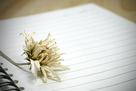 Close up Dried flower on notebook